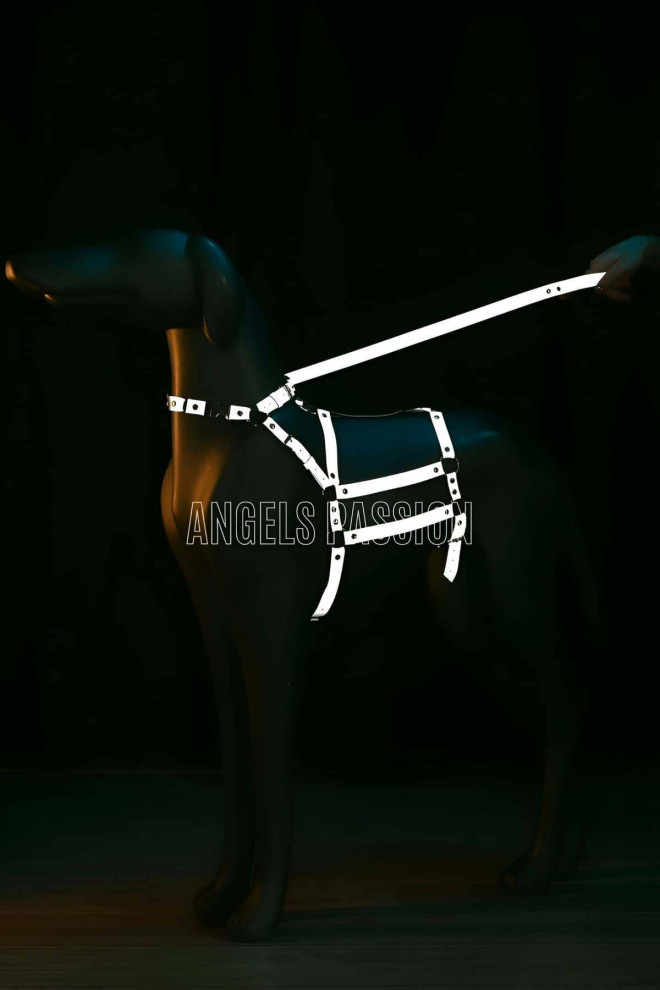 Reflektörlü - Ayarlanabilir Köpek Harness - Köpek Gezdirme Aparatı - NPD007